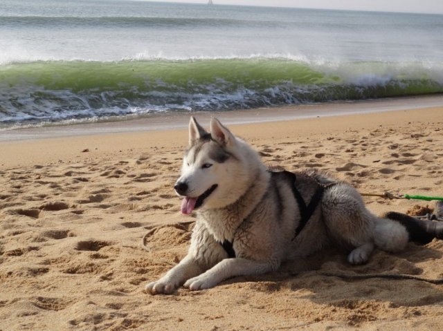 Nouvelles de Largo et Gandalf