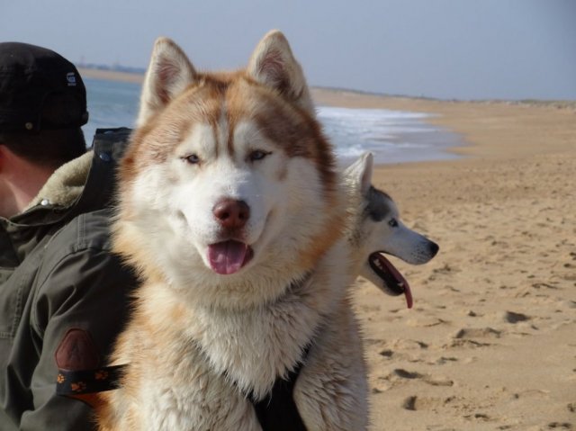 Nouvelles de Largo et Gandalf