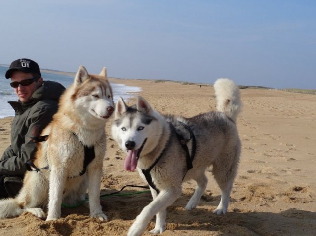 Nouvelles de Largo et Gandalf