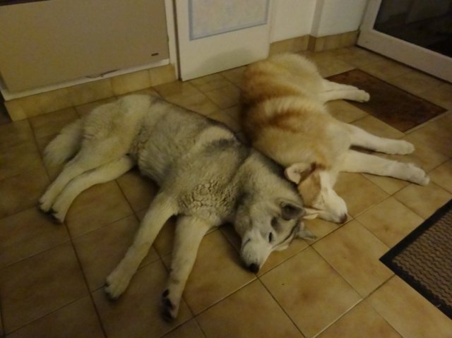 Nouvelles de Largo et Gandalf