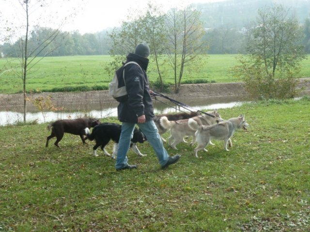 Nouvelles de Liubov's Haïka