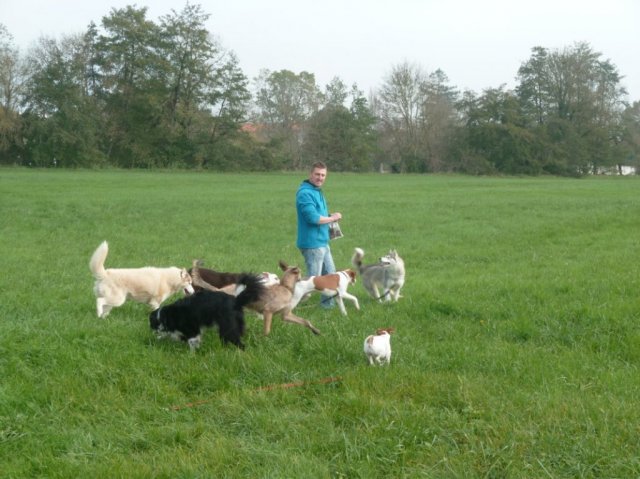 Nouvelles de Liubov's Haïka