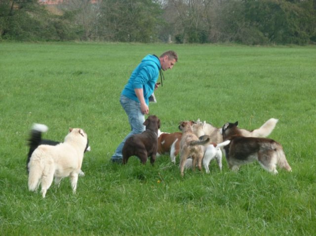 Nouvelles de Liubov's Haïka