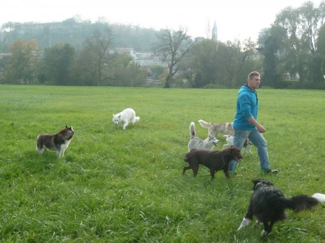 Nouvelles de Liubov's Haïka