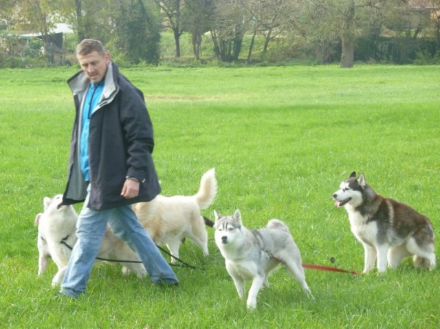 Nouvelles de Liubov's Haïka