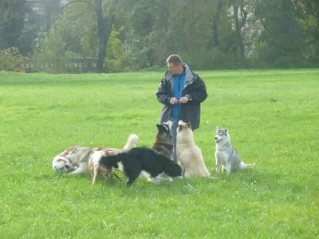 Nouvelles de Liubov's Haïka