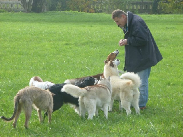 Nouvelles de Liubov's Haïka