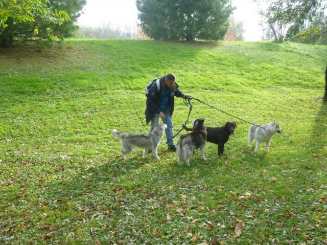 Nouvelles de Liubov's Haïka