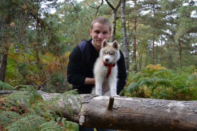 Nouvelles de Liubov's Honey