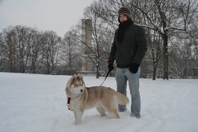 Nouvelles de Liubov's Honey