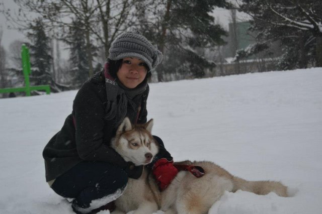 Nouvelles de Liubov's Honey