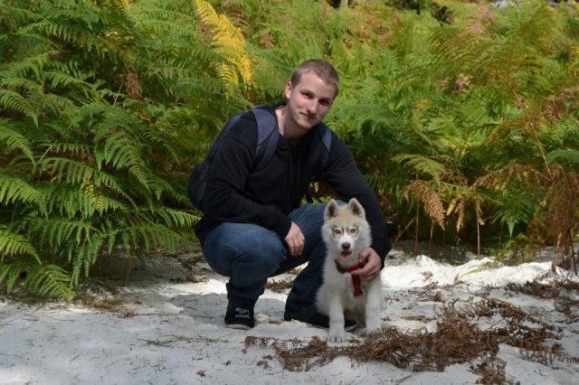 Nouvelles de Liubov's Honey