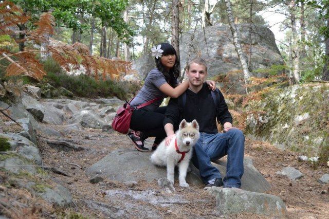 Nouvelles de Liubov's Honey