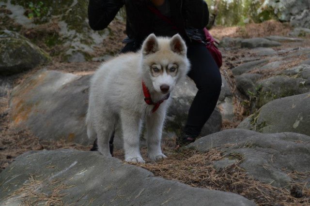 Nouvelles de Liubov's Honey