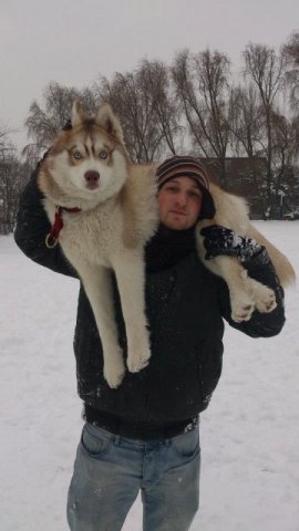 Nouvelles de Liubov's Honey