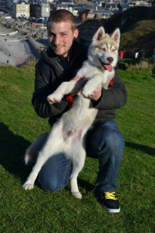 Nouvelles de Liubov's Honey