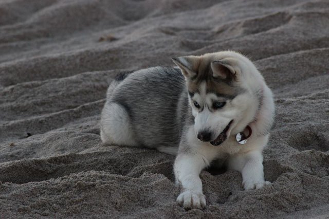 Nouvelles de Liubov's Iranie