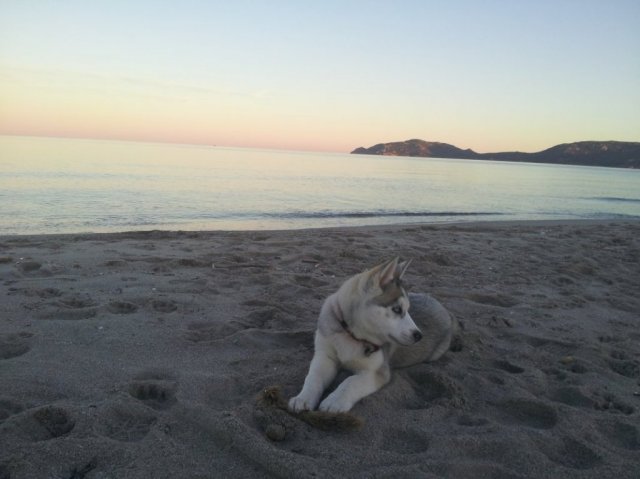 Nouvelles de Liubov's Iranie