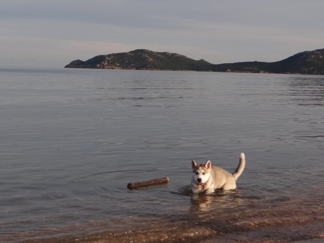 Nouvelles de Liubov's Iranie