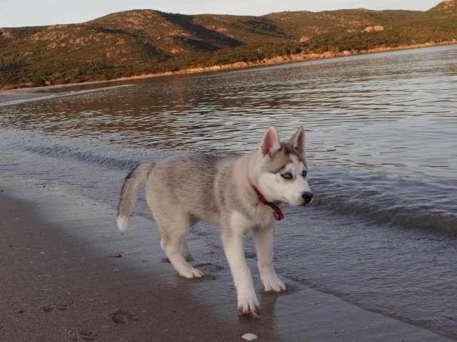 Nouvelles de Liubov's Iranie