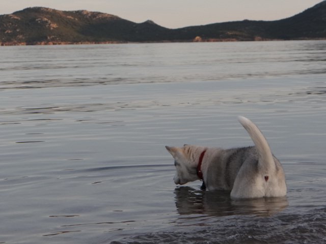 Nouvelles de Liubov's Iranie