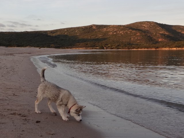 Nouvelles de Liubov's Iranie