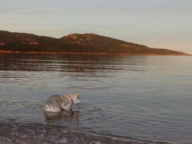 Nouvelles de Liubov's Iranie