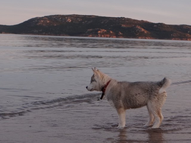 Nouvelles de Liubov's Iranie