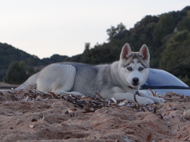 Nouvelles de Liubov's Iranie