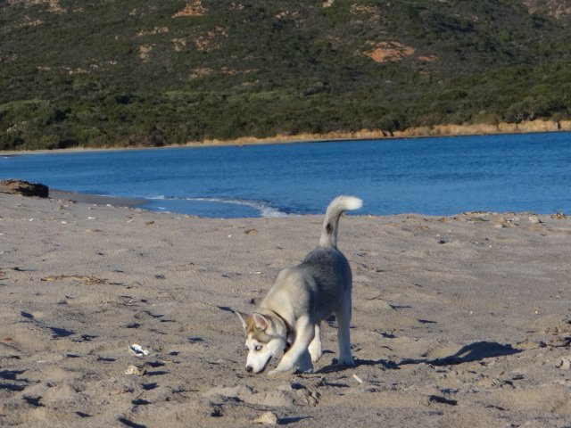 Nouvelles de Liubov's Iranie