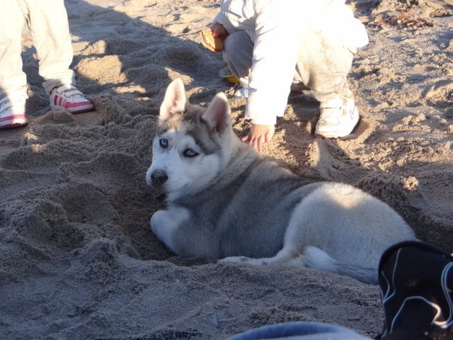 Nouvelles de Liubov's Iranie