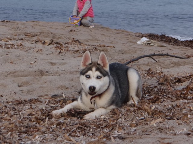 Nouvelles de Liubov's Iranie