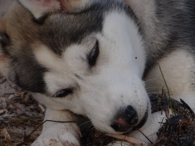 Nouvelles de Liubov's Iranie