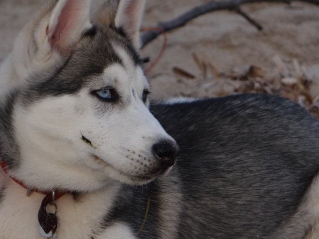 Nouvelles de Liubov's Iranie