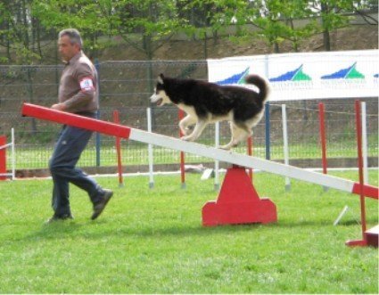 Outchka à l'entraînement