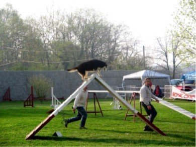 Outchka à l'entraînement
