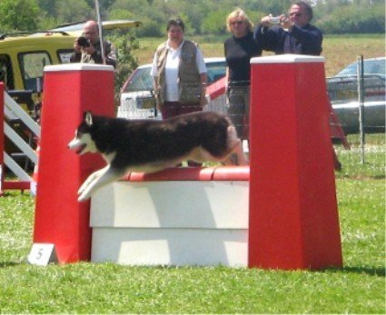 Outchka à l'entraînement
