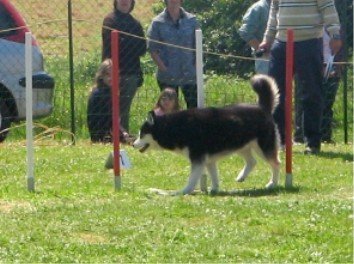 Outchka à l'entraînement