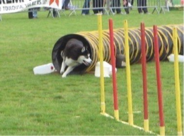 Outchka à l'entraînement