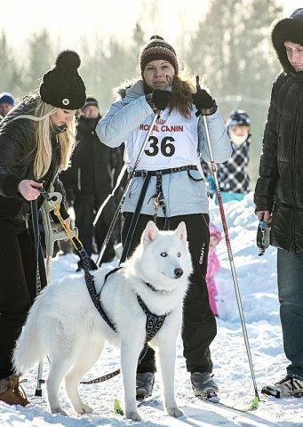 Inbreeding Prince Severa