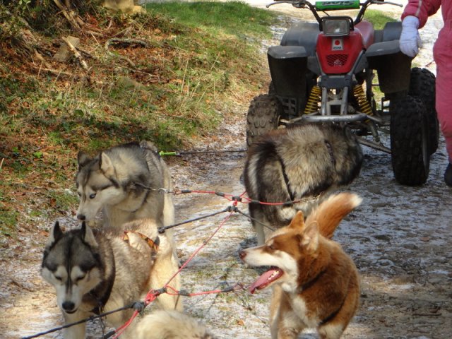 Rando - 28 février 2018