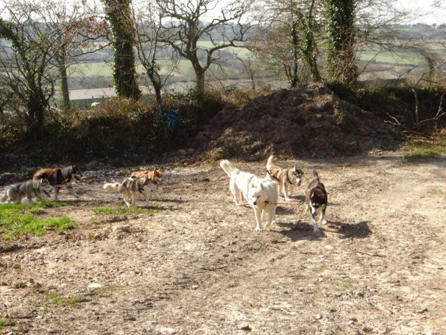 Rando - 28 février 2018