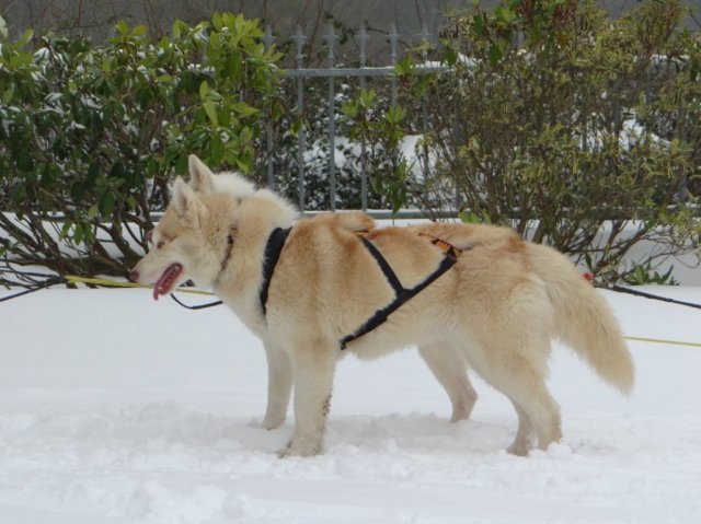 Rando - 18 Janvier 2013