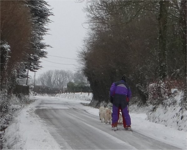 Rando - 18 Janvier 2013