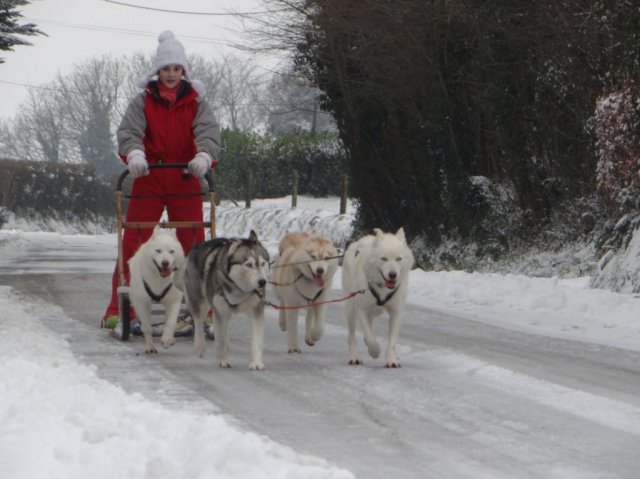 Rando - 18 Janvier 2013