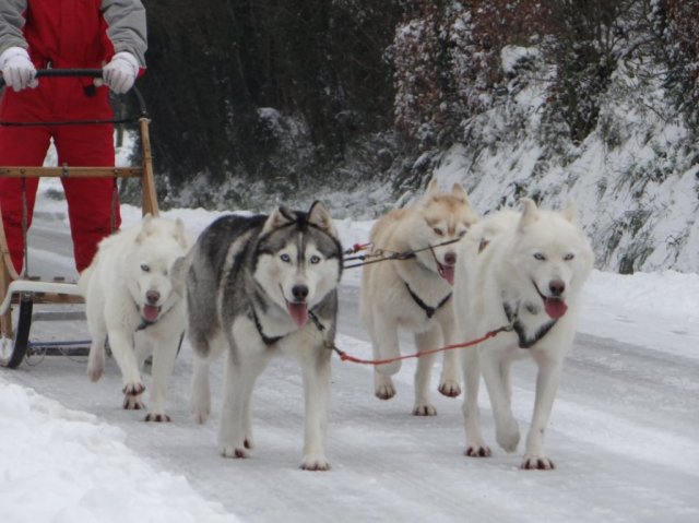 Rando - 18 Janvier 2013