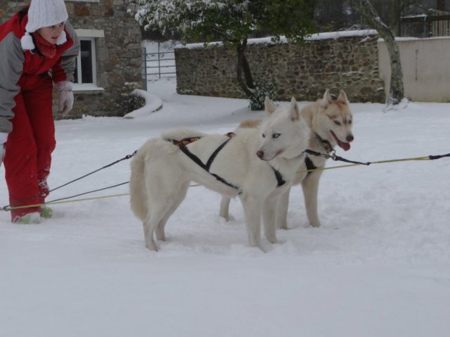 Rando - 18 Janvier 2013