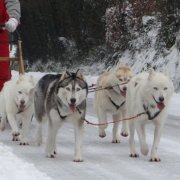 Rando - 18 Janvier 2013