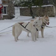 Rando - 18 Janvier 2013