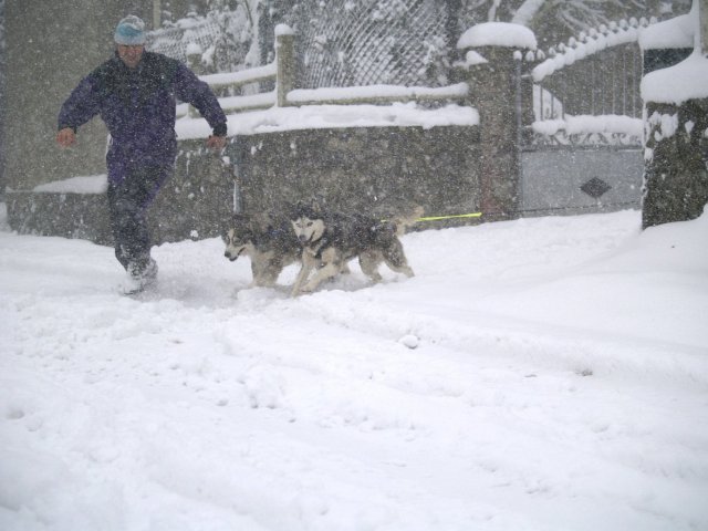 Sur les traces de son père